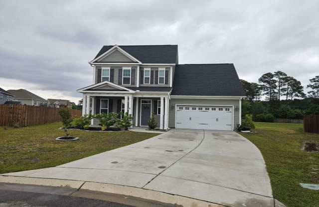 Beautiful 4 bedroom, 2.5 Bath unfurnished home located in Songbird Landing Community - Hampstead photos photos