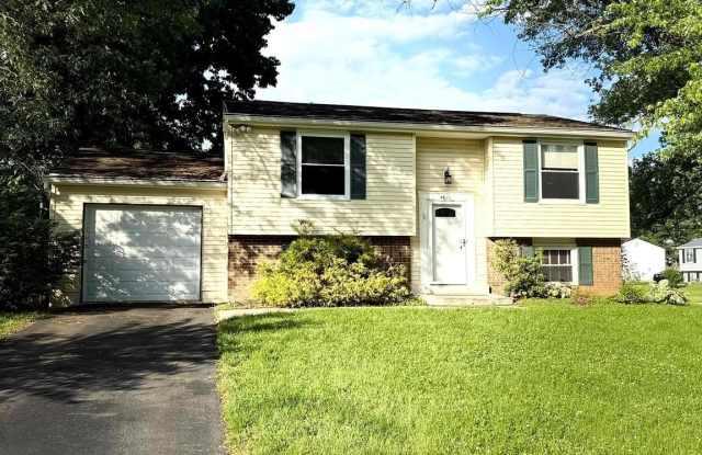 4620 NORRIS COURT photos photos