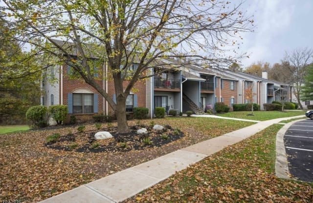 238 Irving Pl - 238 Irving Place, Somerset County, NJ 07920
