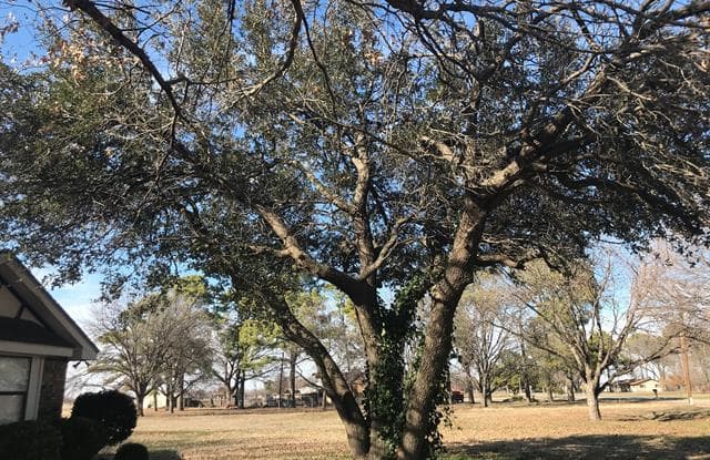 8943 Sandy Road - 8943 Sandy Rd, Cashion Community, TX 76305