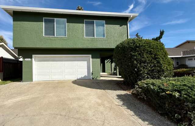 Beautiful, Completely Remodeled 4 Bed 2.5 Bath Fremont Home - Huge Bonus Room photos photos