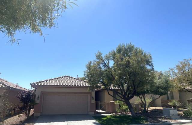 AMAZING SINGLE STORY IN SUMMERLIN photos photos