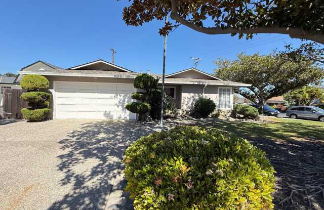 Updated single-level home located in the highly sought-after Killarney Farms neighborhood of Santa Clara photos photos