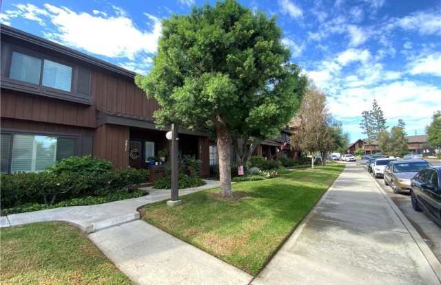 2019 Mount Shasta Drive photos photos