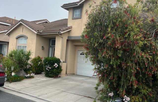 14652 Acacia photos photos 14652 Acacia photos photos