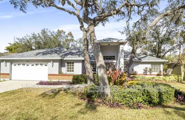 13012 Creek Manor Ct - 13012 Creek Manor Court, Riverview, FL 33569