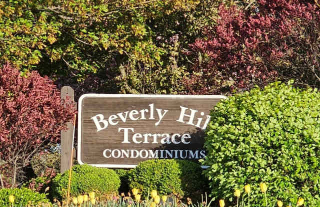 144 Beverly Hills Terrace photos photos