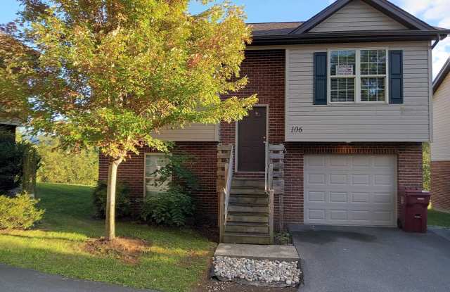 2 bedroom/2 bath split level home in Johnson City photos photos