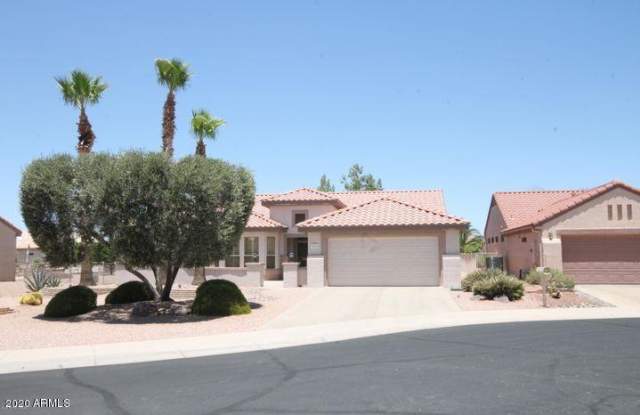16134 W BLUE ASTER Court - 16134 West Blue Aster Court, Surprise, AZ 85374