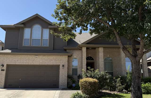 11638 Catchfly photos photos 11638 Catchfly photos photos