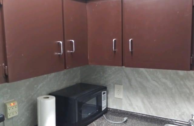 232 W 20th Street - 232 20th Street, South Apopka, FL 32703