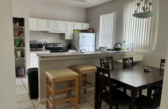 5028 Sunridge Palms Drive - 5028 Sunridge Palms Drive, Hillsborough County, FL 33617