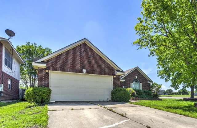 313 Betterman Drive - 313 Betterman Drive, Pflugerville, TX 78660