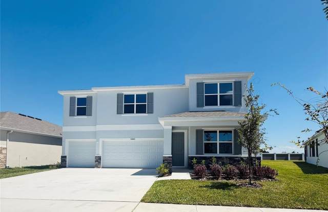 10669 BRIDGEGATE HEIGHTS LOOP - 10669 Bridgegate Heights Loop, Pasco County, FL 33545