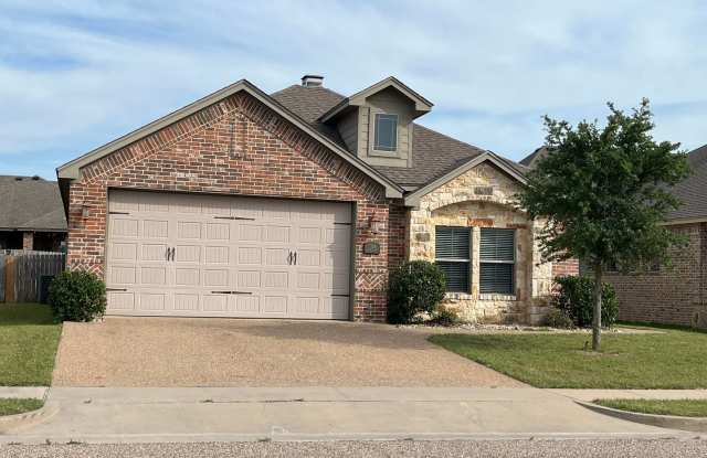 4 Bedroom Single Family Home: Available Now! - 3124 Silver Saddle Drive, Robinson, TX 76706