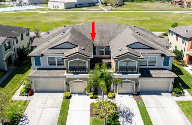 11648 CROWNED SPARROW Lane Gallery 2