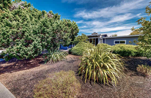 Gorgeous Three Bedroom Two Bath Bennett Valley Single Story Home Gallery 3