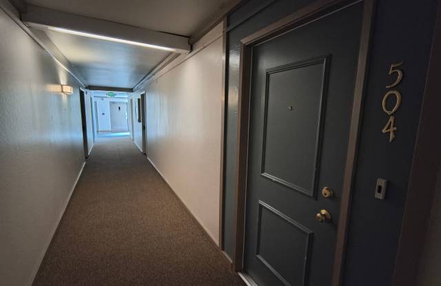 STUNNING TOP FLOOR 1BD/1BA APARTMENT IN WALNUT CREEK CA!!!! Gallery 4