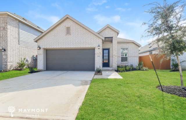 27631 Spearmint Ridge Drive - 27631 Spearmint Ridge Drive, Harris County, TX 77493