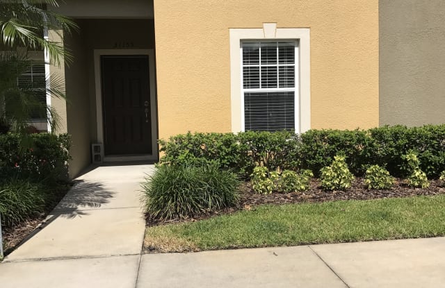 31155 Flannery Ct - 31155 Flannery Ct, Wesley Chapel, FL 33543