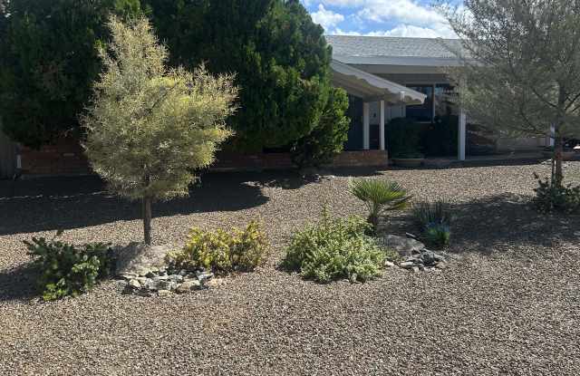 1303 North Roca - 1303 North Roca, Mesa, AZ 85213