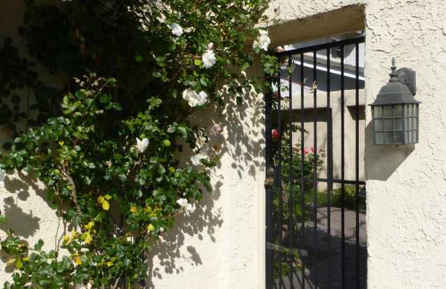 1749 Royal Saint George Drive Gallery 3