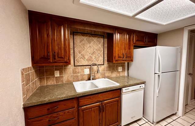 11902 Shady Trail Lane Gallery 4