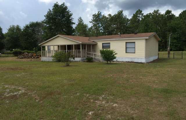4629 Peppergrass St - 4629 Peppergrass Street, Middleburg, FL 32068