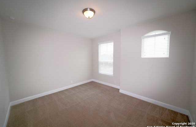 3130 Daisy Meadow Gallery 4
