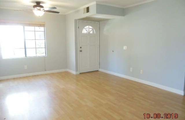 13104 Wimberly Square #67 Gallery 3