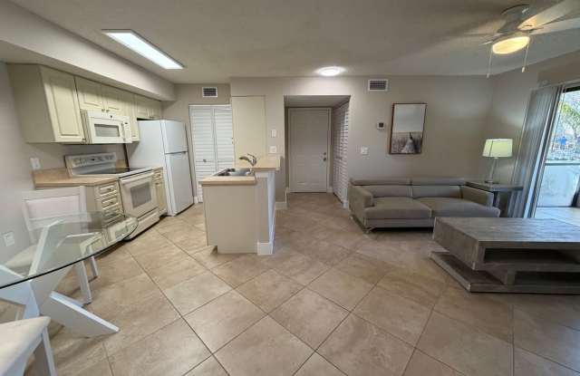 ANNUAL RENTAL - FURNISHED 1 BED / 1 BATH AT OASIS photos photos