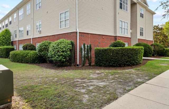 1st Floor Condo in Bellingham Park Available now! photos photos 1st Floor Condo in Bellingham Park Available now! photos photos