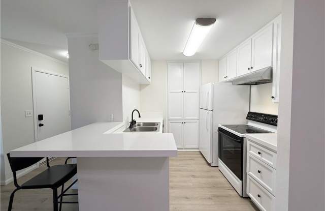 806 Coriander Drive photos photos