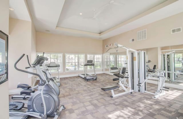 Saddle Ridge Gallery 4
