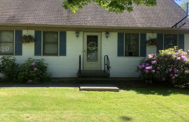 4 Pine Lane Gallery 2