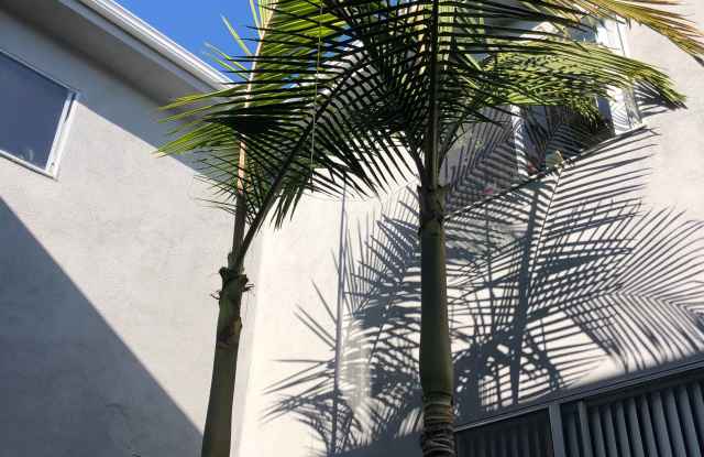 LUXURY LIVING AT AN AFFORDABLE PRICE photos photos