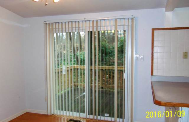6310 LEAFY SCREEN Gallery 2