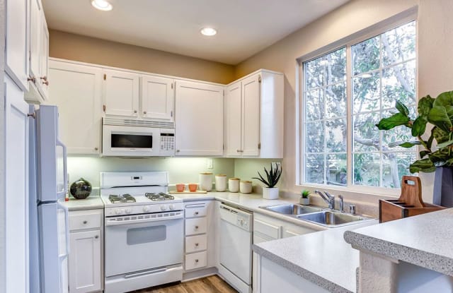 Sofi Westview Gallery 2