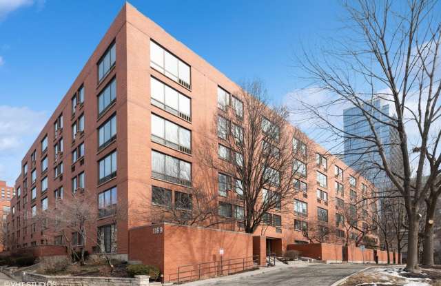 1169 S Plymouth Court - 1169 South Plymouth Court, Chicago, IL 60605