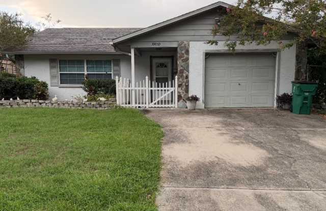Charming 3/2- Heart of Zephyrhills photos photos