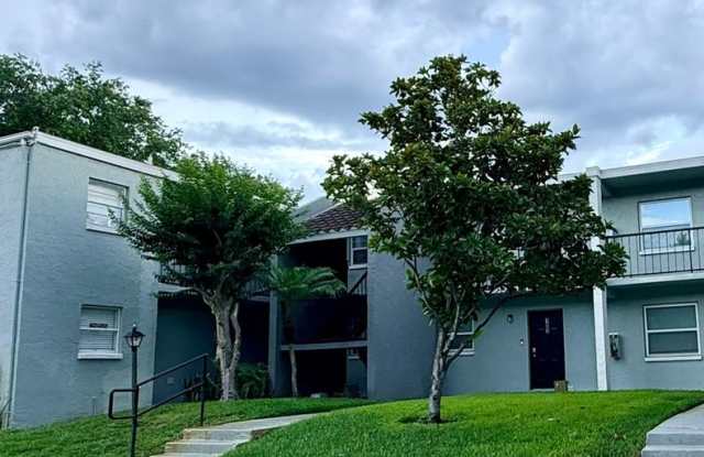 Charming 2BR Condo in Tampa photos photos