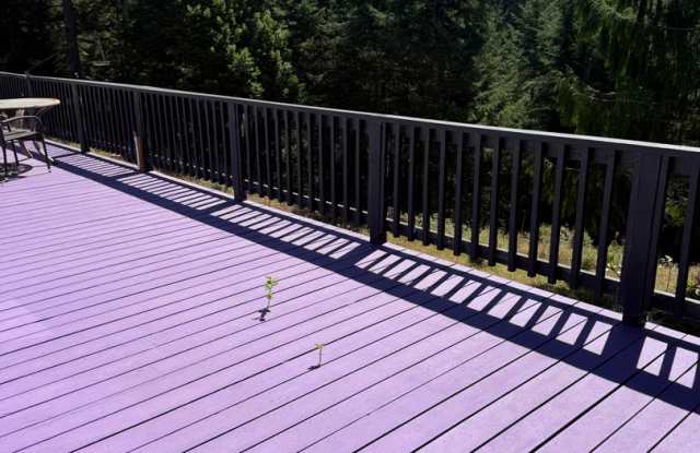 Spacious One-Level Home with Expansive Deck & Beautiful Views - Furnished or Unfurnished! Gallery 1