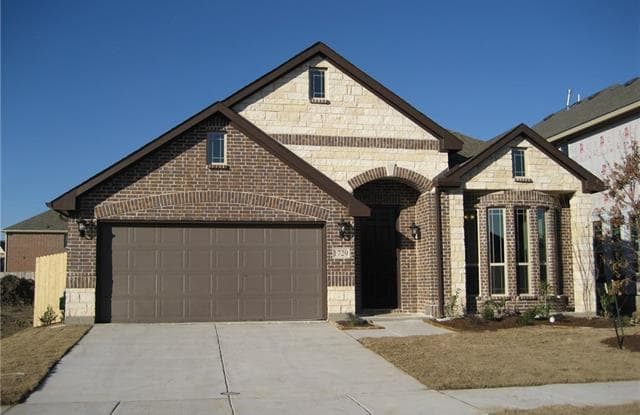 1729 Spoonbill Drive - 1729 Spoonbill Dr, Little Elm, TX 75068
