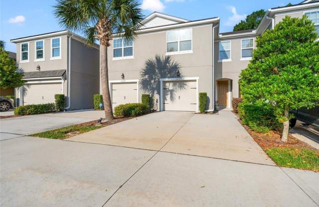 14124 DAMSELFLY DRIVE - 14124 Damselfly Dr, Citrus Park, FL 33625