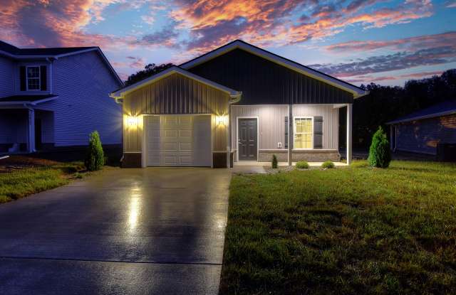 93 Scout Br photos photos