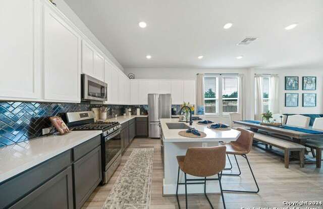 21114 Chestnut Cove - 21114 Chestnut Cove, Bexar County, TX 78247