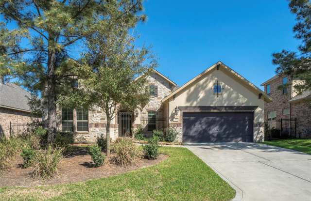 98 N Braided Branch Drive - 98 N Braided Branch Dr, The Woodlands, TX 77375