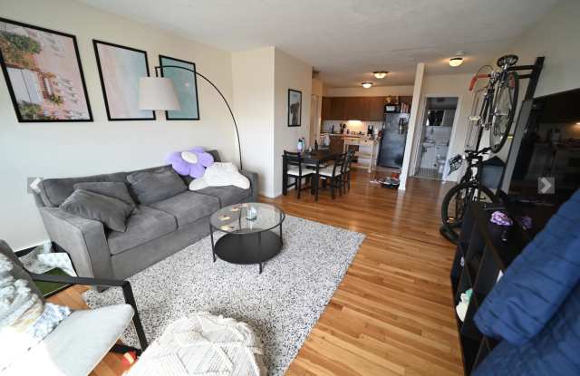 95 Sutherland Rd photos photos