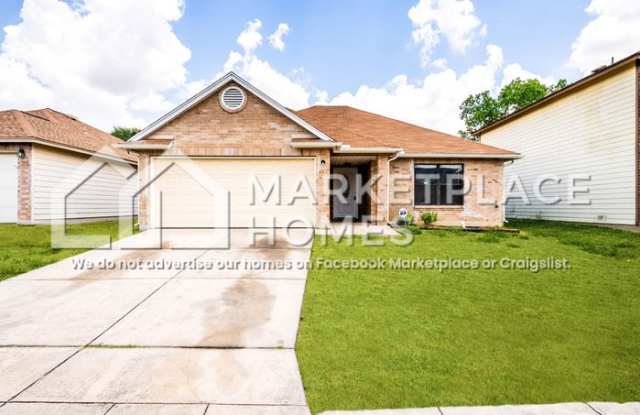 7250 Dwarf Palm photos photos