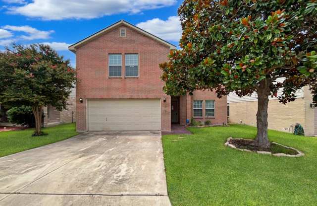 12626 SUNNY WONDER photos photos